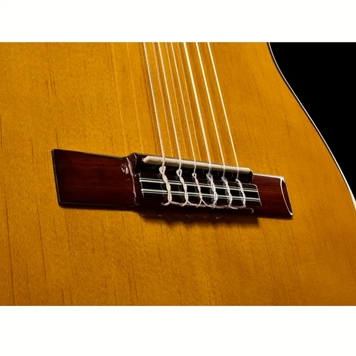 Ibanez GA5TCE3Q-AM