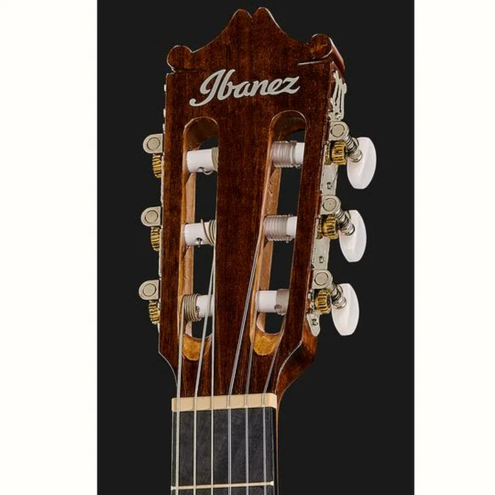 Ibanez GA5TCE3Q-AM