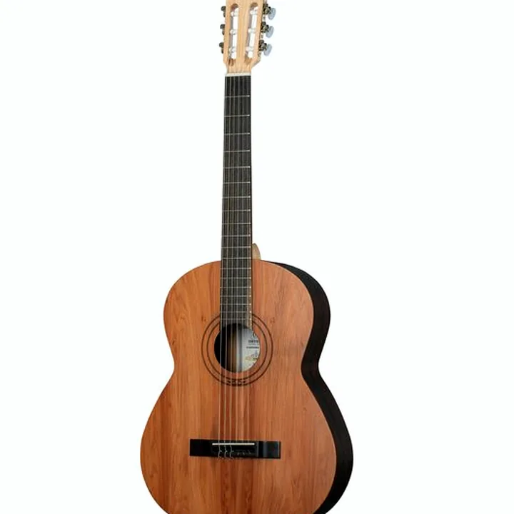 Ortega R16PC
