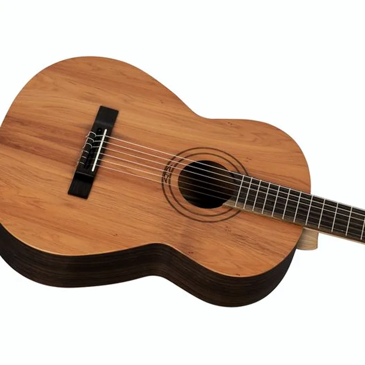 Ortega R16PC