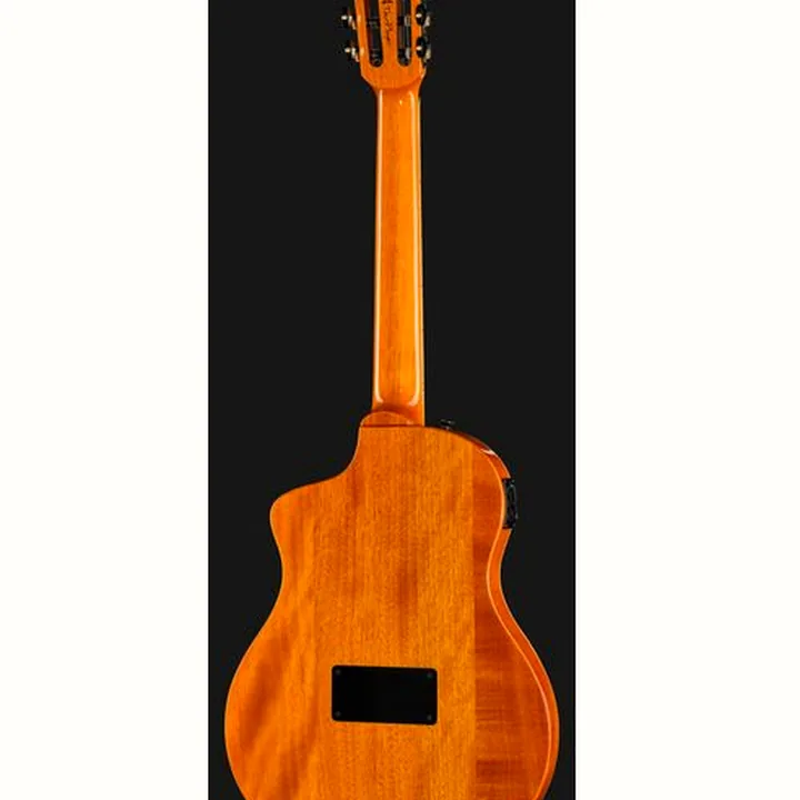 Ortega RTP-LTD