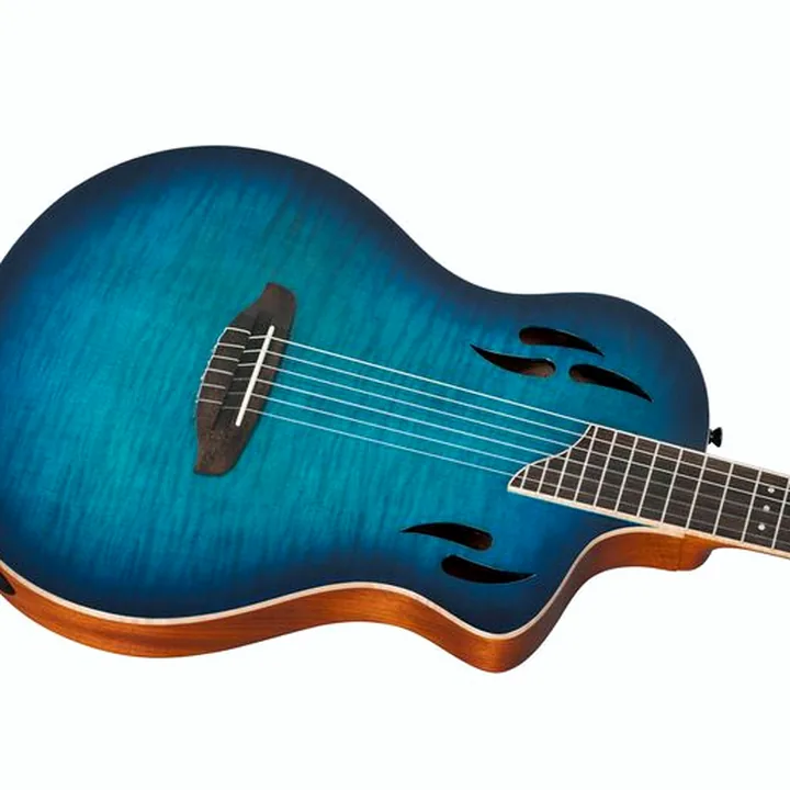 Ortega Tour Player FMA Blue
