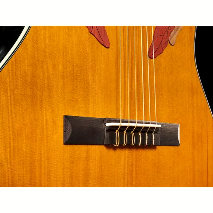 Ovation Celebrity Elite CE44C-4A-G