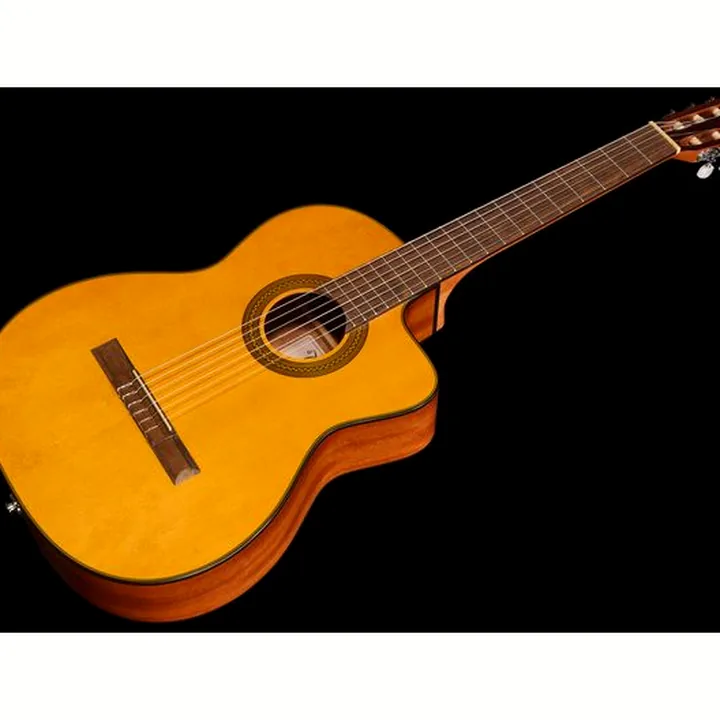 Takamine GC1CE-Nat