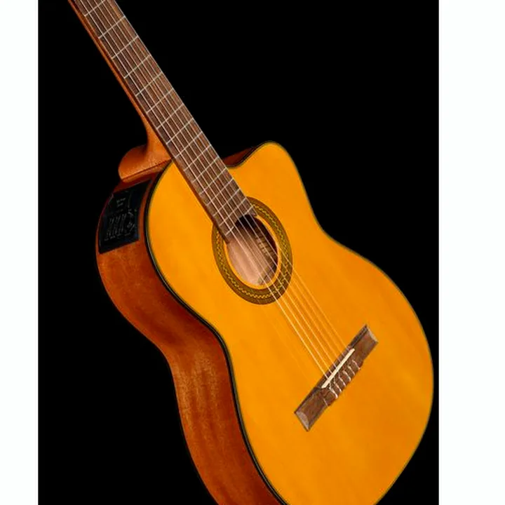 Takamine GC1CE-Nat
