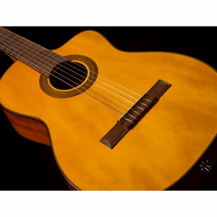 Takamine GC1CE-Nat