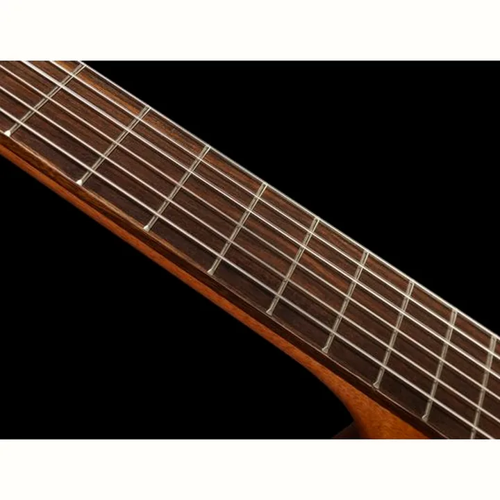 Takamine GC1CE-Nat