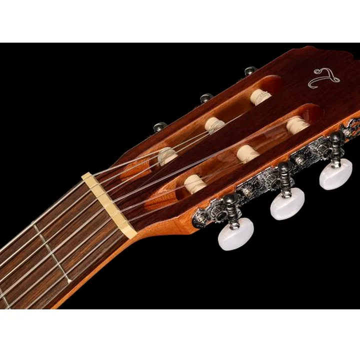 Takamine GC1CE-Nat
