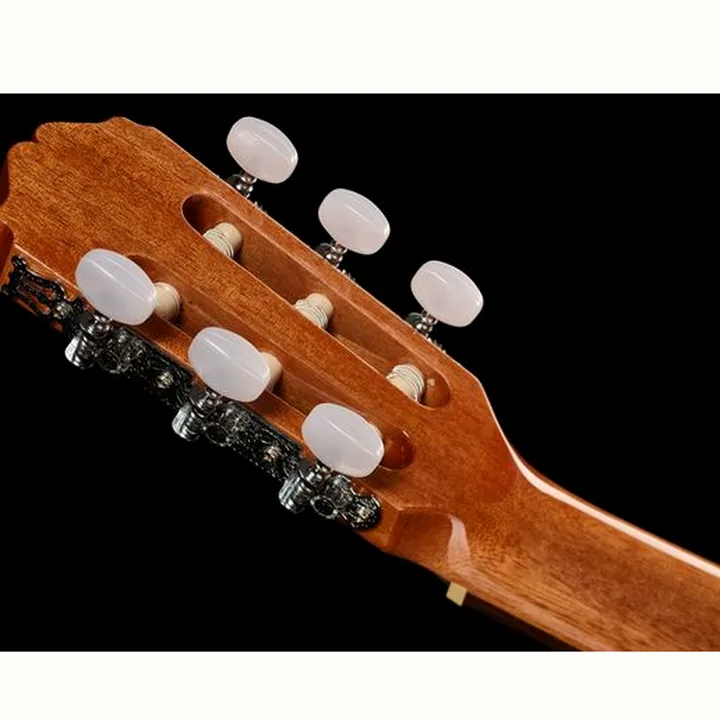 Takamine GC1CE-Nat
