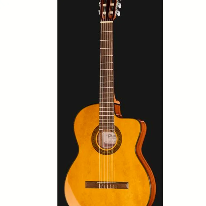 Takamine GC1CE-Nat