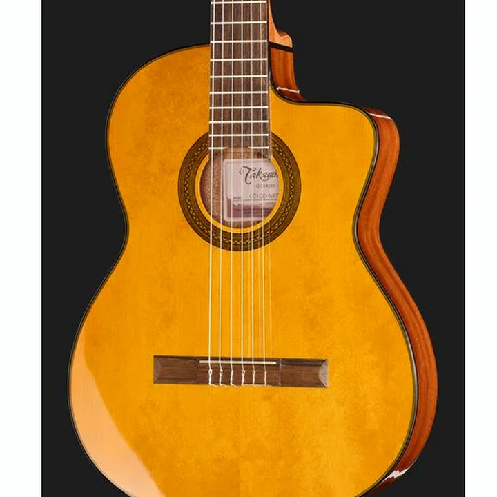 Takamine GC1CE-Nat