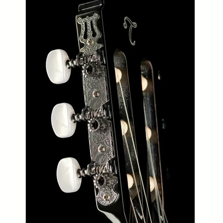 Takamine GC2CE BLK Classical
