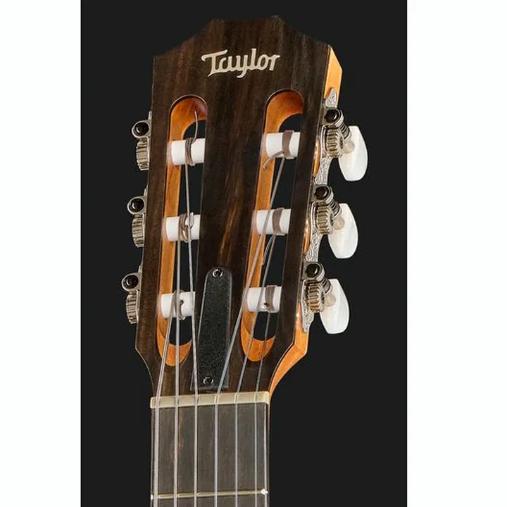 Taylor 112ce-N