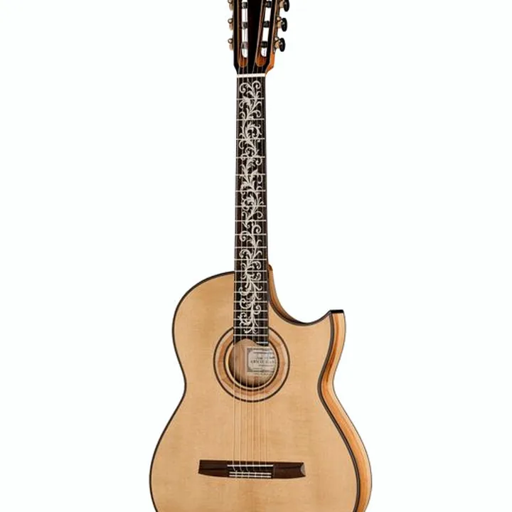 Test y análisis del Hanika FusionPC Rosemaple: guitarra de cuerpo sólido